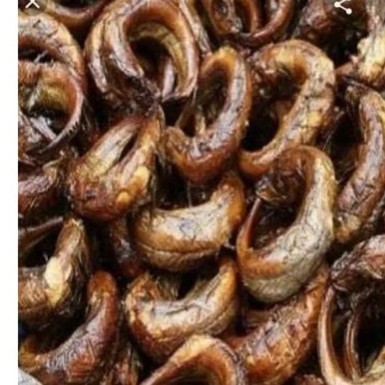 Pack of 10pcs Smoked Hake Fish (Eja Kika or Panla Kika) β ZYFOK FOODS